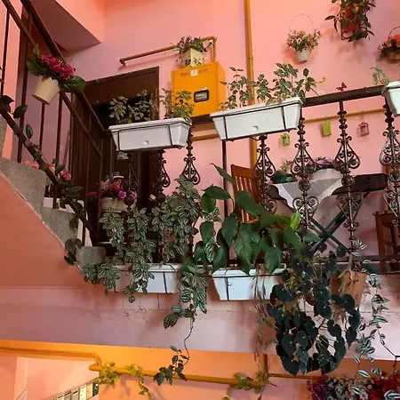 Apartment Austrogarski Tamariz *